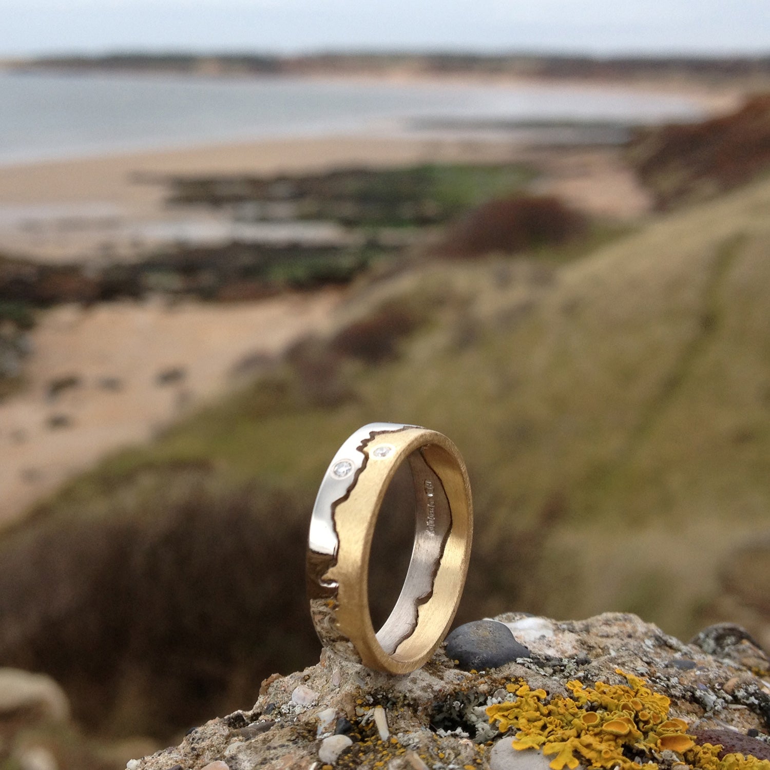 Coastline Two Colour Gold Ring, Diamond Studded